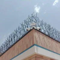 شاخ گوزنی میعاد آکاردئون فلزی حفاظ تاج