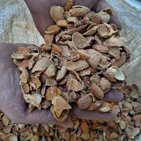 خریدو فروش انواع بادم و مغز بادام به قیمت تجاری|خوردنی و آشامیدنی|نجف‌آباد, جعفرآباد|دیوار