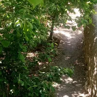 باغ تفریحی کشاورزی بابتنگل بالاتر از آبشار