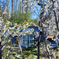 ویلا مبله استخر و جکوزی آب گرم|اجارهٔ کوتاه‌مدت ویلا و باغ|لواسان, |دیوار