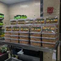 پیاز داغ پیاز داغ خلالی و نگینی همراه سیب سلامت|خوردنی و آشامیدنی|تهران, پونک|دیوار
