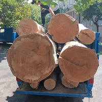 برش درخت قطع درخت خرید چوب. جابجایی انواع درخت|خدمات باغبانی و درختکاری|تهران, نیاوران|دیوار
