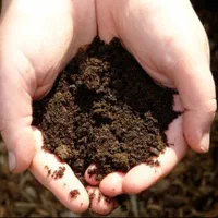 خاک باغچه ، کود حیوانی|خدمات باغبانی و درختکاری|دماوند, |دیوار