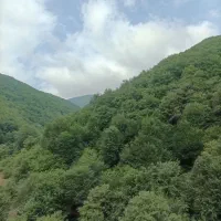 راهنمایی