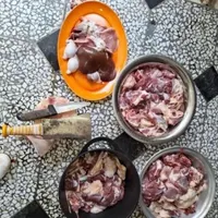 انواع گوسفند (بره نر و شیشک نزاییده)|حیوانات مزرعه|قم, امامزاده ابراهیم|دیوار