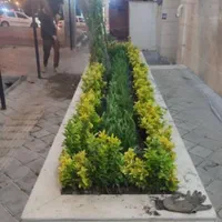 خدمات باغبانی باغچه کاری گلکاری درختکاری خاک گلدون|خدمات باغبانی و درختکاری|تهران, گیشا|دیوار