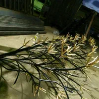 تولید و نصب انواع حفاظ شاخ گوزنی|خدمات پیشه و مهارت|تهران, یافت آباد جنوبی|دیوار