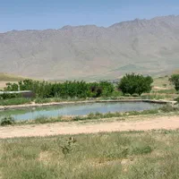 زمین باغی دوهزارمتربا لوله کشی.کم وزیاددارم،آستانه|فروش زمین و ملک کلنگی|اراک, |دیوار