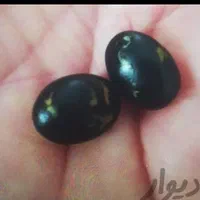 مهره تضمینی