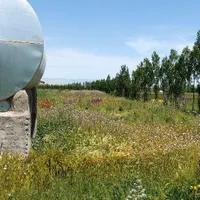 زمین دارای مجوزگلخانه گرجان