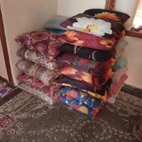 24بالشت درحدنو