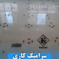 کاشی کاری و سرامیک موزیک کاری سنگ کاری|خدمات پیشه و مهارت|شاهین‌شهر, حافظ شمالی|دیوار