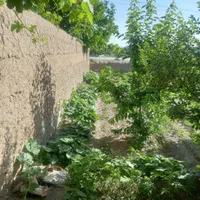 فروش زمین(باغ) ۵۰۵ متری در باغ فردوس(ناژوان)|فروش زمین و ملک کلنگی|اصفهان, باغ فردوس|دیوار