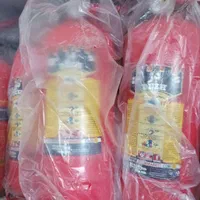 کپسول اتش نشانی اتشنشانی 2kg دژ شارژ