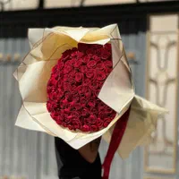 گل رز هلندی چین روز از گلخونه|گل و گیاه طبیعی|شیراز, قدوسی شرقی|دیوار