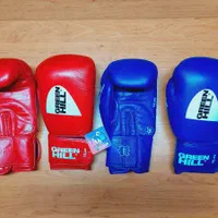 دستکش بوکس|تجهیزات ورزشی|کرج, خرمدشت|دیوار