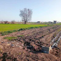 زمین ابتدای لاملنگ زیر قیمت منطقه