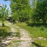 ویلا جنگلی دربست شادنشین طبیعت بکر|اجارهٔ کوتاهمدت ویلا و باغ|شفت, |دیوار