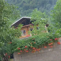 عمارت چوبی جنگلی روستایی ماسال لب رودخانه