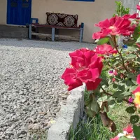اجاره سوئیت جنگلی روزانه