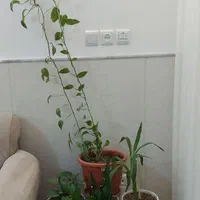 ویلایی دو خواب همکف بدون پله مناسب برای سالمندان|اجارهٔ کوتاه‌مدت آپارتمان و سوئیت|قم, باسکول|دیوار