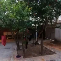 اجاره خوابگاه دخترانه|اجارهٔ کوتاه‌مدت آپارتمان و سوئیت|شیراز, عفیف‌آباد|دیوار