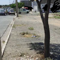زمینقطعه5ازحاشیهبنیادشهیدجنوبیوحاشیهبلوار