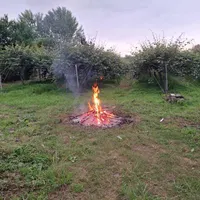 استخدام باغبان