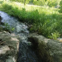 باغ پلاک دوم رودخانه روستای چمنار