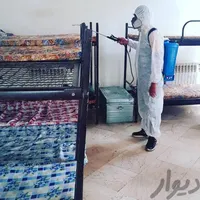 سمپاشی سوسک ساس کک کنه سم پاشی موش مورچه مارمولک