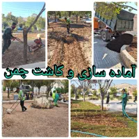 شرکت سبزگامان پارسی متخصص درزمینه باغبانی|خدمات باغبانی و درختکاری|شیراز, آزادگان|دیوار
