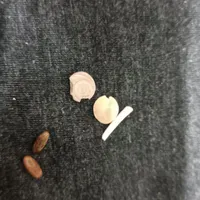 مهره