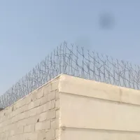 تولیدی وپخش شاخ گوزنی اجراونصب|مصالح و تجهیزات ساختمان|قرچک, |دیوار