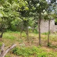 فروش زمین مسکونی مزایده ای رشت|فروش زمین و ملک کلنگی|تهران, فرحزاد|دیوار
