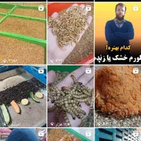 میلورم ، سوپرورم|لوازم جانبی حیوانات|تهران, وردآورد|دیوار