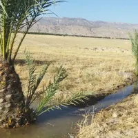 فروش زمین کشاورزی وباغی