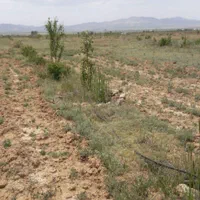 باغ شهر مینو دشت اشراق 1000 متر|فروش دفتر صنعتی، کشاورزی، تجاری|زنجان, |دیوار