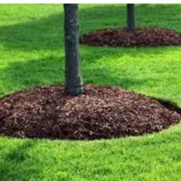 پاکنی باغها وباغچها تمام خدمات باغبانی|خدمات باغبانی و درختکاری|شیراز, قصرالدشت|دیوار