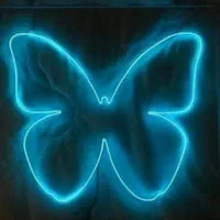 تابلو ال ای دی چنلیوم نئون|فروشگاه و مغازه|مشهد, حرم مطهر رضوی|دیوار