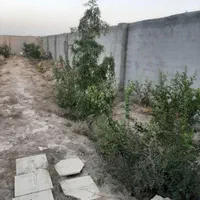 فروش زمین ۶۰۰ متری واقع در حصار مهتر شرایط اقساط|فروش زمین و ملک کلنگی|رباط‌کریم, رباط‌کریم|دیوار