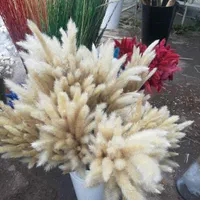 گل خشک دم روباهی کراس درشت|گل مصنوعی|تهران, آهنگ|دیوار