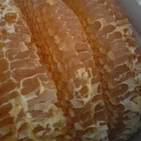 عسل طبیعی بصورت عمده وخرده/گون /چهل گیاه/ کنار|عمده‌فروشی|شیراز, گلشن|دیوار