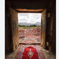 قالی شوی تک