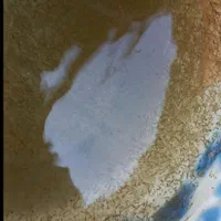 بچه ماهی استخری کپور قرمز|ماهی|رشت, سعدی (تختی)|دیوار