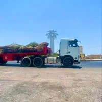 نخلستان در انزلی|خدمات باغبانی و درختکاری|بندر انزلی, |دیوار