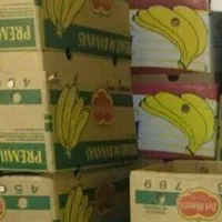 کارتن موزی ۳۰ هزار|عمدهفروشی|گلبهار, شهر جدید گلبهار|دیوار