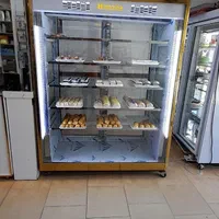 یخچال دورونما