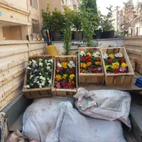 کلیه کارهای باغبانی سم پاشی هرس کاری بیل زنی سوسک|خدمات باغبانی و درختکاری|تهران, مهران (سیدخندان)|دیوار