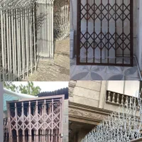 حفاظ دزدگیر سلیقه ای ،بوته ای شاخ گوزنی کاکتوس|مصالح و تجهیزات ساختمان|شیراز, شهرک گلدشت حافظ‎|دیوار