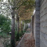 باغچه چهاردیواری خوشنام سنددار مناسب سرمایه گذاری|فروش زمین و ملک کلنگی|کرج, عظیمیه|دیوار